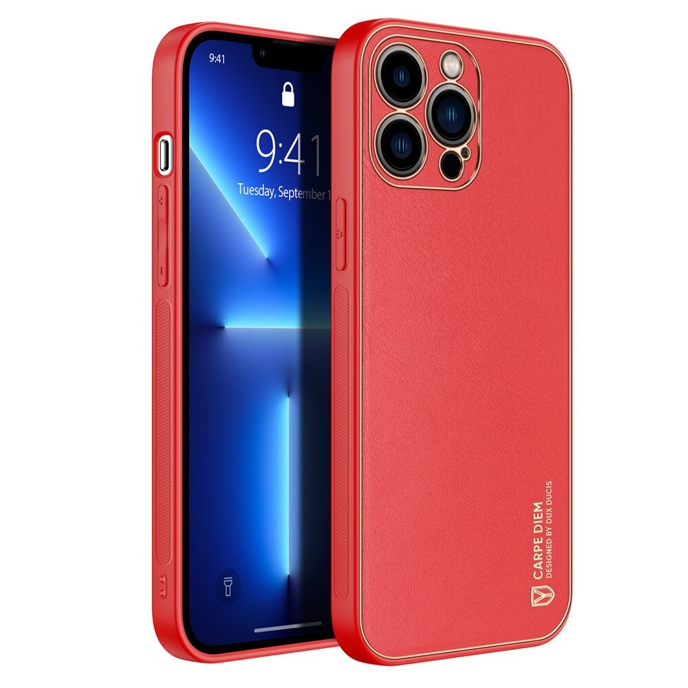 Husa iPhone 13 Pro Dux Ducis